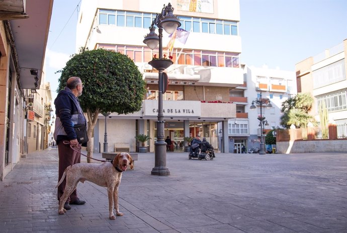 Perro en la Plaza del Ayuntamiento de Mislata