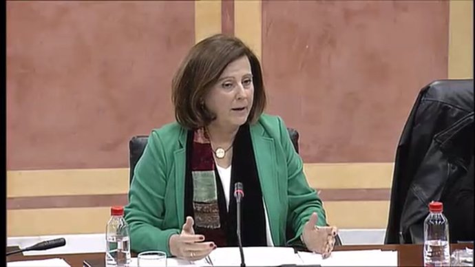 María José Sánchez Rubio en Comisión en el Parlamento