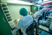 El Cabildo de Tenerife destina 18.000 euros a dos becas de agricultura y medio ambiente