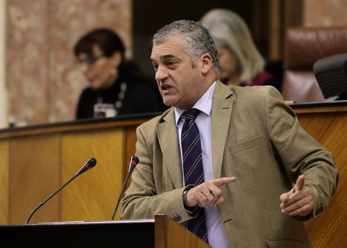 El consejero de Empleo, Empresa y Comercio, Javier Carnero, en el Parlamento