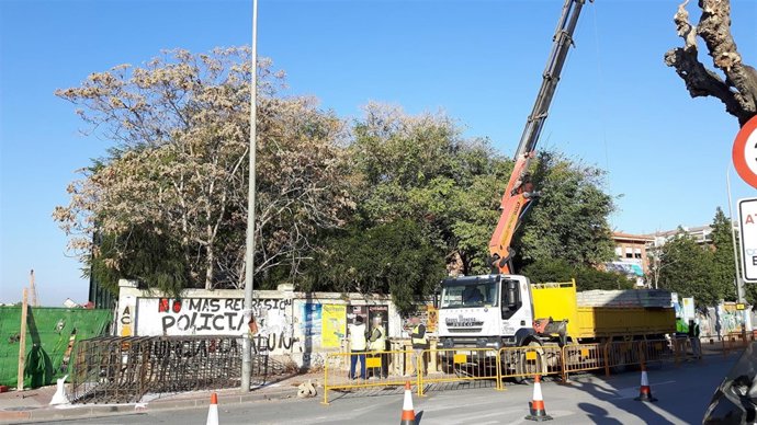 Inicio obras pasarela Santiago el Mayor