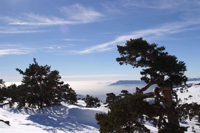 Navacerrada. Sierra De Guadarrama.