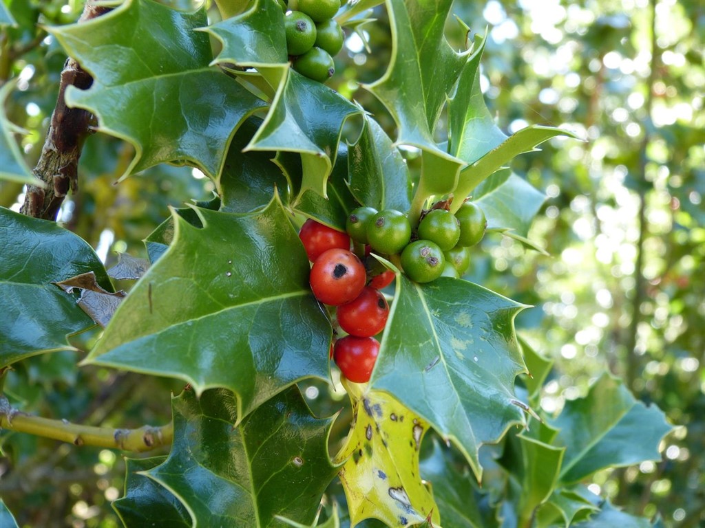 Gómez Acebo & Pombo Gómez Acebo & Pombo, fue el pionero en salir de la ‘Milla de Oro’ y apostó