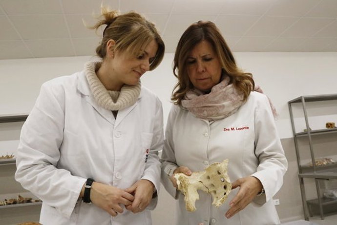 Agencia Catalana de Noticias