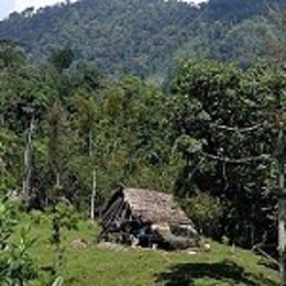 Casas indigenas (Ngobe) - Native houses; cerca de Miramar, Bocas del Toro, Pan