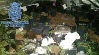 Un detenido y desmantelada una plantación de marihuana en una vivienda ocupada de Jerez