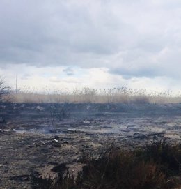 Incendio en una zona cercana al parque natural de El Hondo