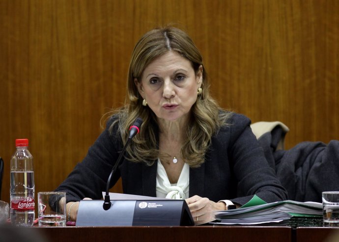 La consejera de Salud, Marina Álvarez, en comisión parlamentaria