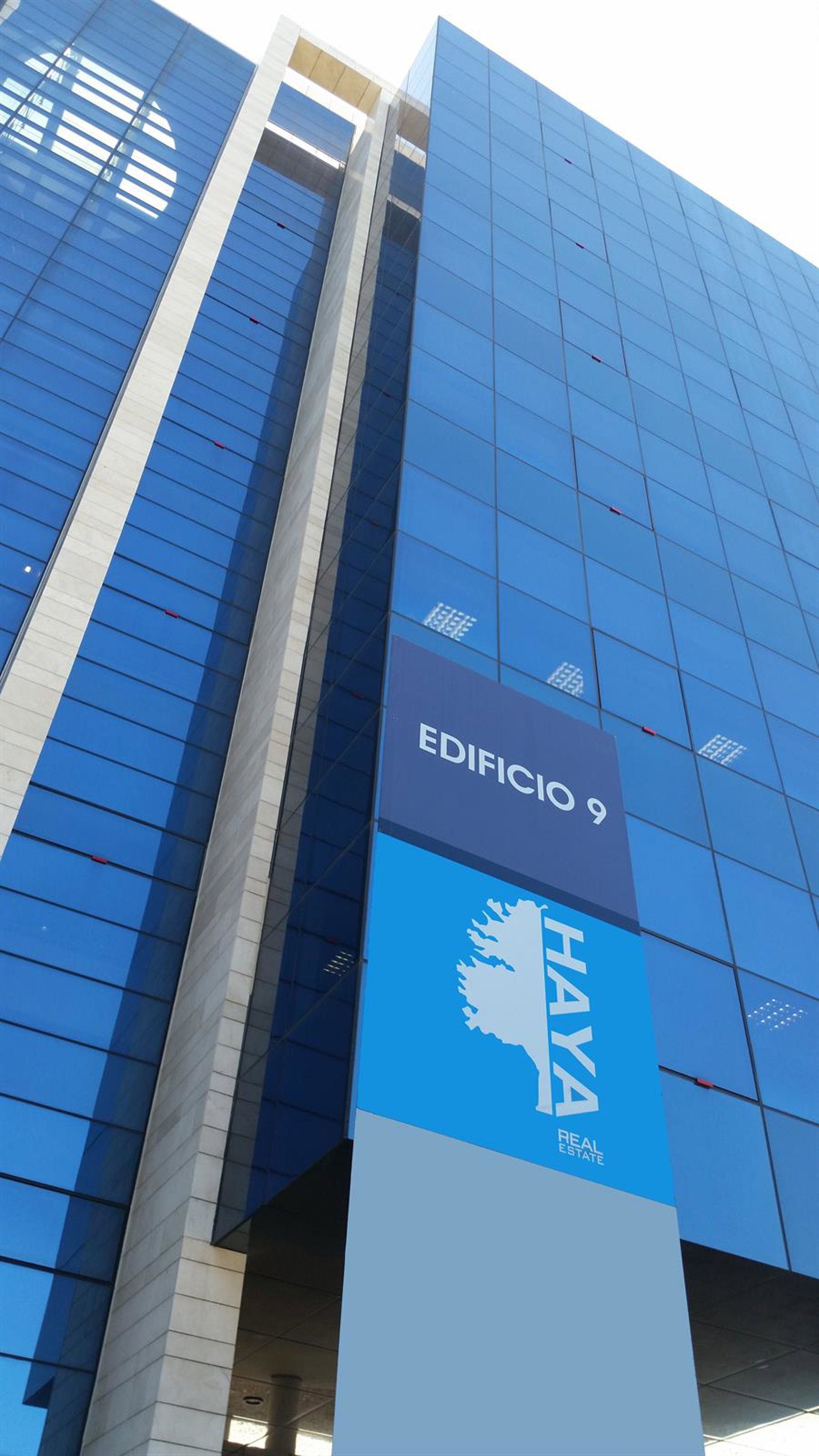 Haya Real Estate saldrá a Bolsa en España este año