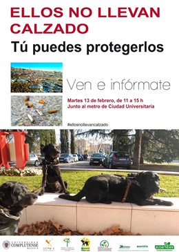 Ndp. La Complutense Inicia Una Campaña De Sensibilización Para Proteger A Los Pe