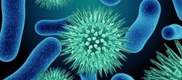Virus y bacterias