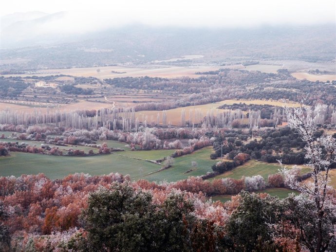 Un paisaje sota la escarcha en invierno