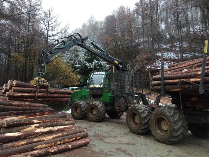 Extracción de madera en Navarra