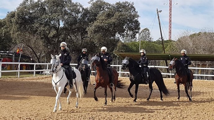 Agentes de la Unidad de Caballeria de la Policía Nacional durante una exhibición