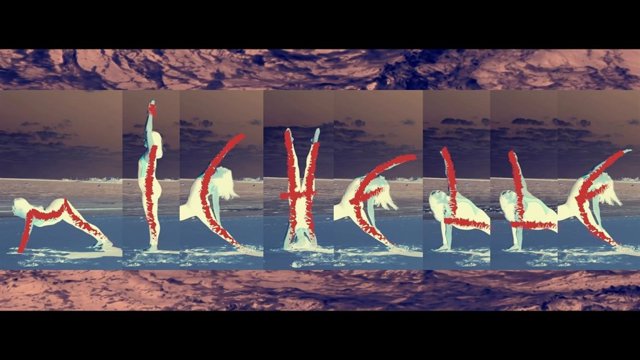 Pacific Princess: Comunidad y arte