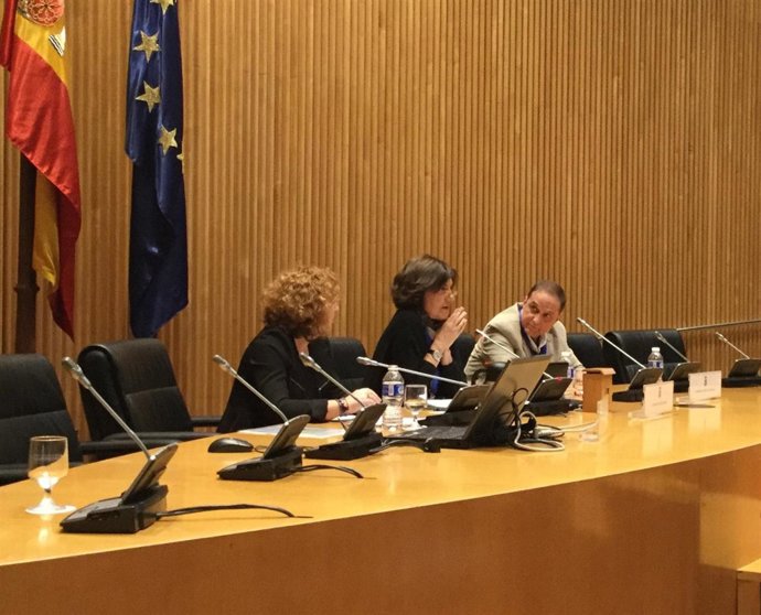 Comparecencia de la presidenta del CAA, Emelina Fernández