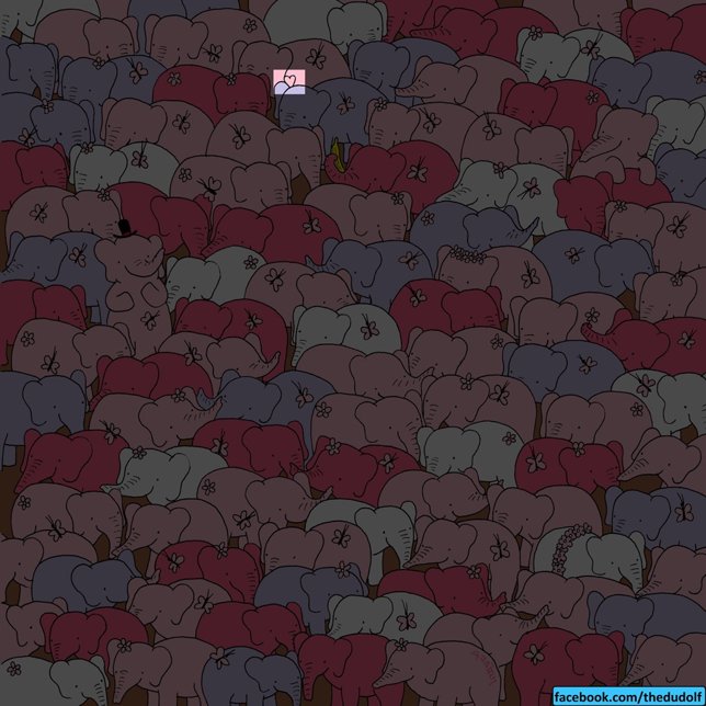 Elefante solución