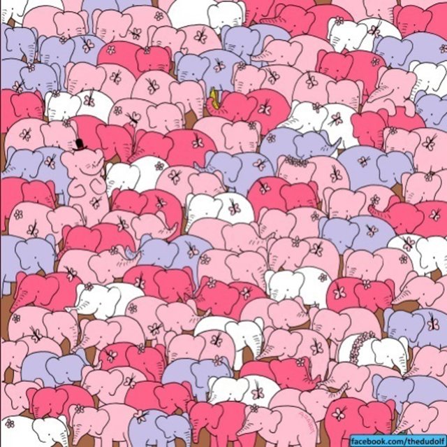 Reto visual: encuantra el corazón entre tanto elefante