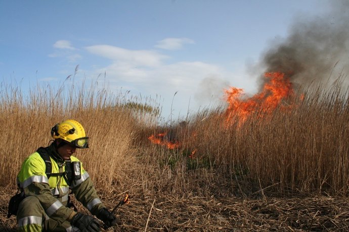 Cremes controlades al Parc Natural del Delta de l'Ebre