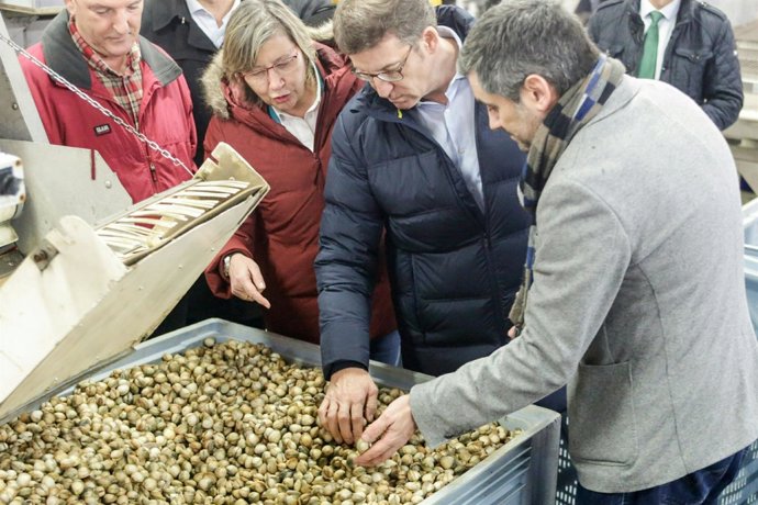 El presidente de la Xunta, Alberto Núñez Feijóo, visita la lonja de Noia