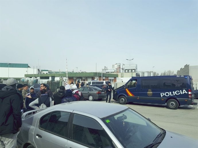 Inspecció en l'escorxador Li Porc Gourmet 