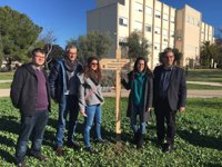 Empiezan las tareas de señalización del camino entre la UIB y Esporles