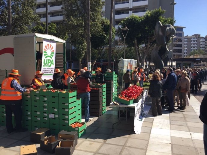 La Unión de Pequeños Agricultores reparte hortalizas en Almería