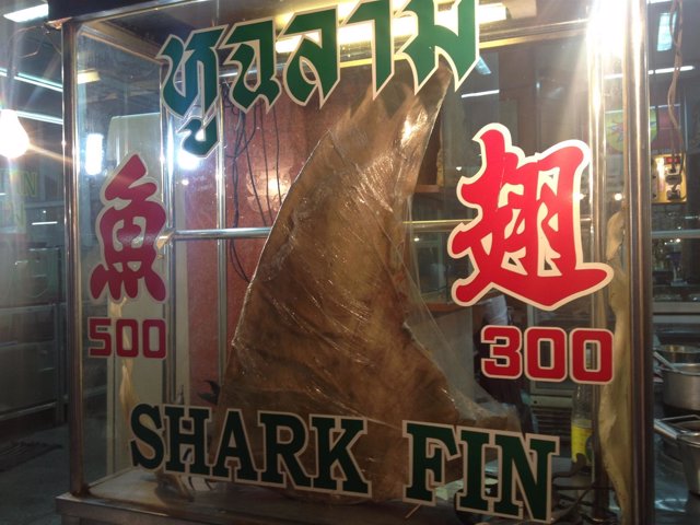 Aleta de tiburón expuesta en un restaurante de Chinatown de Bangkok (Tailandia).