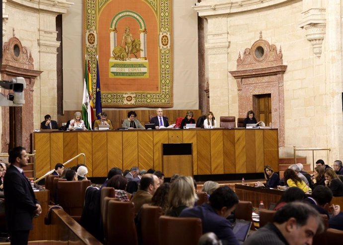 El Pleno del Parlamento andaluz este jueves