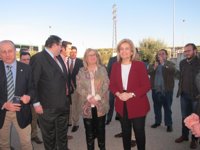 Báñez: La rebaja de peonadas beneficiará a más de 56.000 trabajadores del campo andaluz