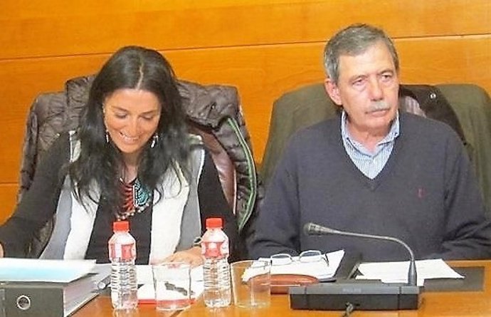 El ya exinterventor general Gabriel Pérez Penido en la comisión de Ecomasa