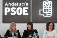 PSOE-A apoya el paro del 8 de marzo y exige reconocer el trabajo "invisible" de miles de mujeres