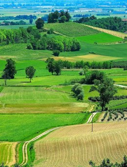 Un paisaje agrícola en la región del Piemonte, en Italia 