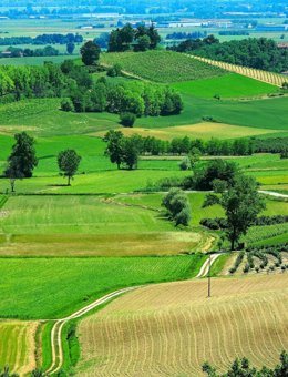 Un paisatge agrícola a la regió del Piemonte, a Itàlia 