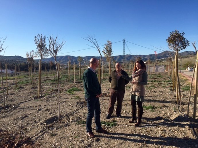 Plantacion-en-alcaucin01_o