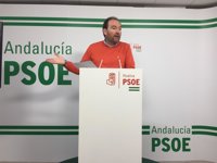 PSOE lamenta que el Gobierno siga con "los eternos estudios" sobre el AVE tras más de diez años