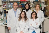 Demuestran la implicación de una proteína en la resistencia a la radioterapia del glioblastoma