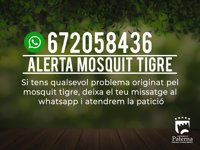 Paterna pone en marcha un Whatsapp para que los vecinos transmitan incidencias sobre el mosquito tigre