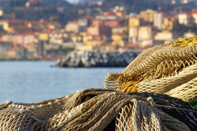 Nota Informativa Proyecto Suredepar