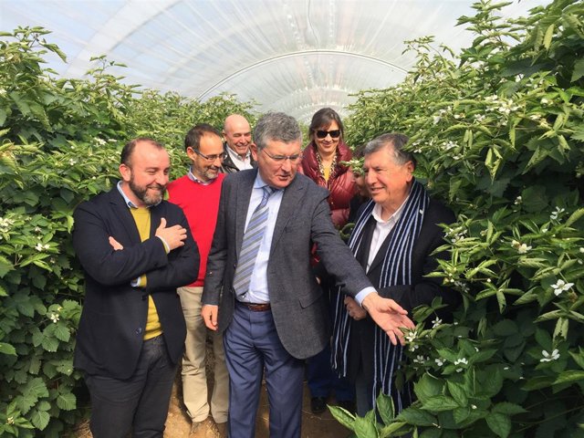 Visita de la Junta a la comunidad de regantes de El Fresno, en Huelva