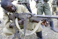 Cinco guardas forestales muertos en un ataque de individuos armados en el este de República Democrática del Congo