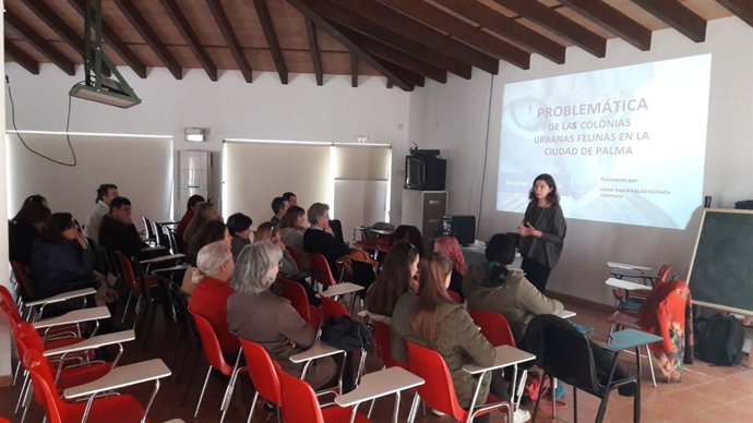 Colonias felinas Son Reus