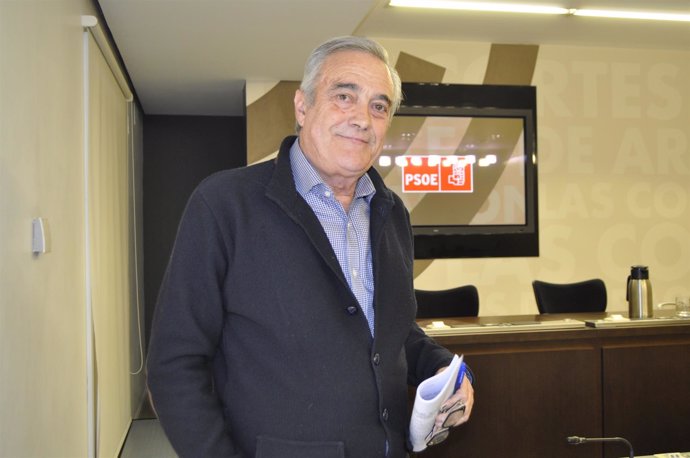 El portavoz parlamentario del PSOE Aragón, Javier Sada.