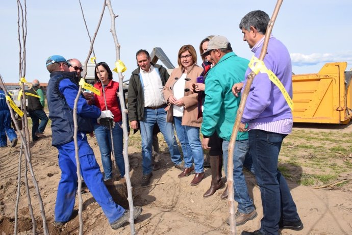 Reparto de árboles en el vivero de la Diputación de Cáceres