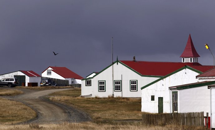 A bird flies over houses in Green Goose, on the Falkland Islands, March 11, 2012