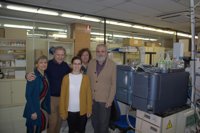 Crean un nuevo método "más potente" para analizar el daño oxidativo del colesterol