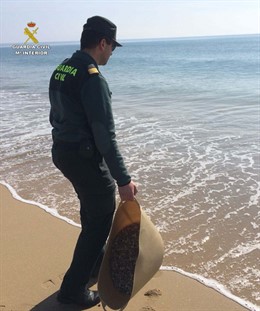 Agentes intervienen coquinas ilegales 