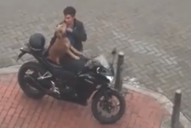 Las imágenes de un hombre preparando a su perro para montar en moto se han hecho