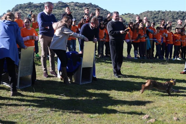 Ruiz (centro) libera uno de los linces en Villafranca