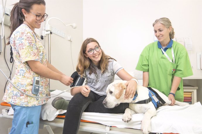 Terapia asistida con perros